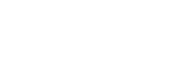 Theseus Motorsport