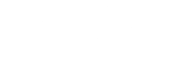 Theseus Motorsport